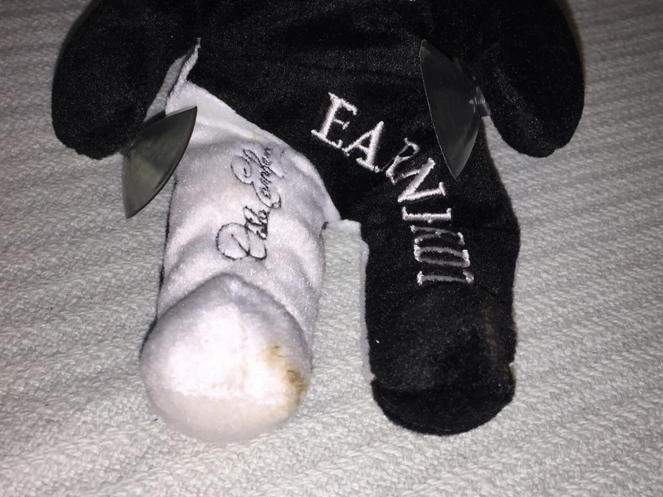 NASCAR Gorro Blanco y Negro 2001 Dale Earnhardt #3 Team Salvino's Racing Foto 2 de 4