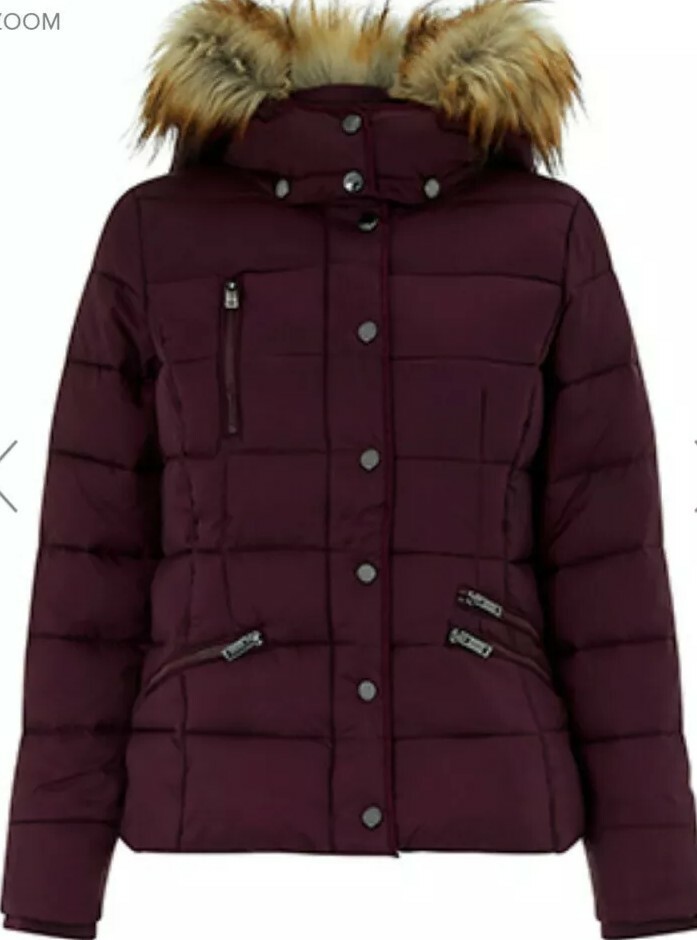 Monsoon Holly Short Padded Coat Size Large Burgundy Bnwt Hooded