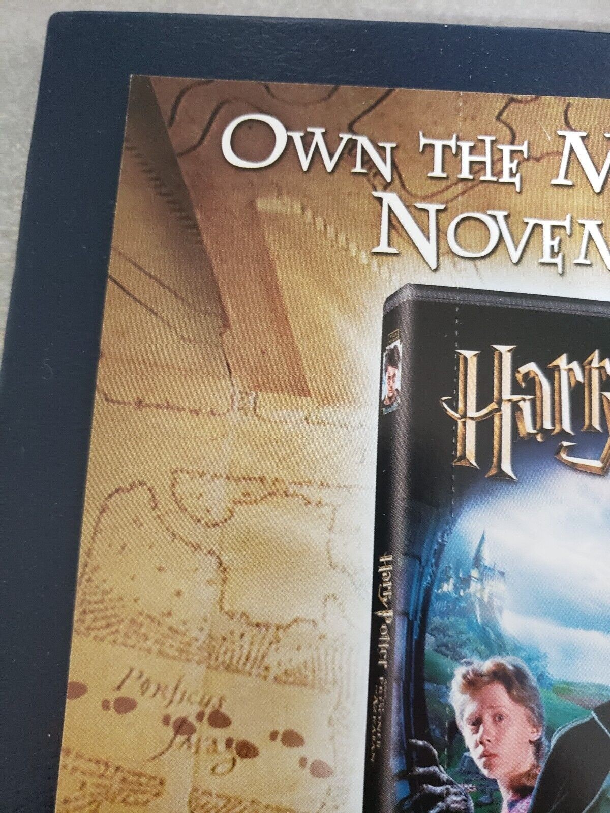 Harry Potter Hermione Granger Sirius Black Ron Weasley Rubeus Hagrid Dumbledore.