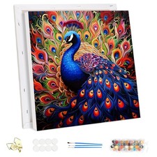Malen Nach Zahlen Set mit Rahmen - Regenbogen Pfau - 30x30cm