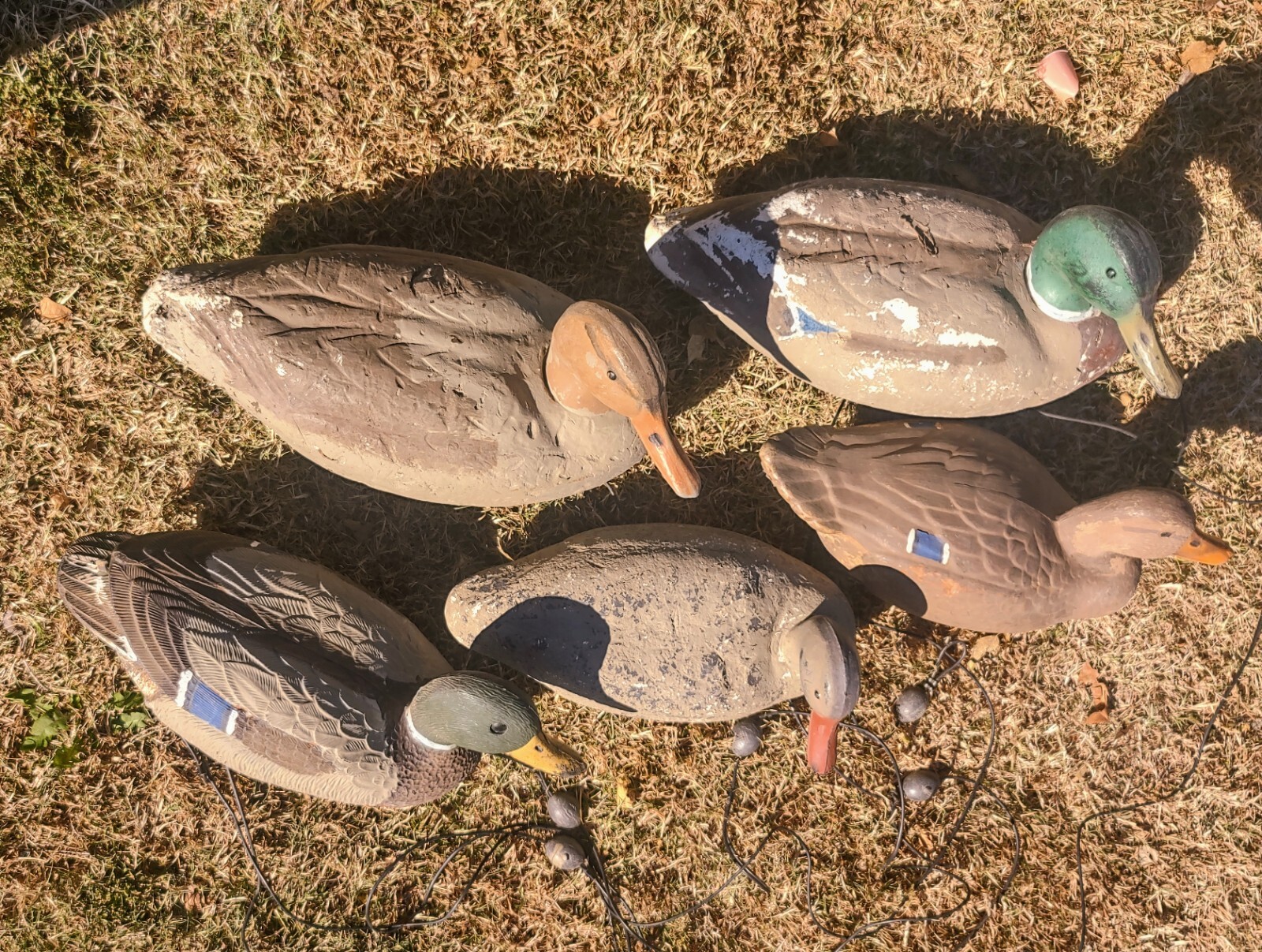 Collectable Anzen Rec PAC 5 Duck Decoys, 2 Large 3 Smaller 3 Heads