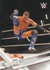 2017 Topps WWE Tyson Kidd #2