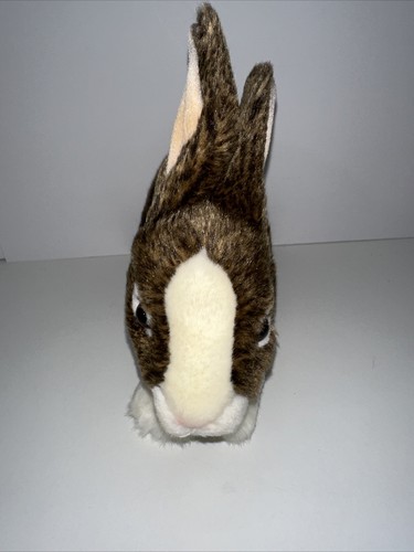Webkinz Signature Dutch Bunny WKS1011 by GANZ Plush Stuffed Animal Rabbit - EUC - Picture 2 of 6