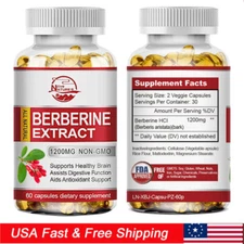 Berberine HCl 1200mg - High Potency Berberine Supplement - Blood Sugar Support