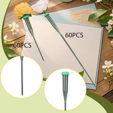 60x Stem Floral Water Tubes Flower Cultivation Tubes,Flower Vials Water