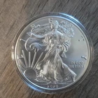 U.S. Mint 2020 American Silver Eagle $1 1 oz .999 Silver Business Uncert