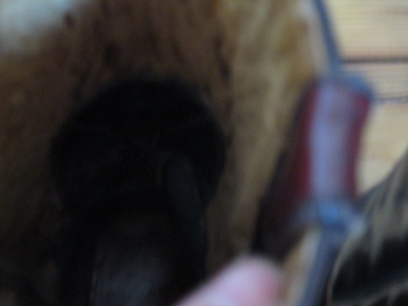 Bild 4 von 8