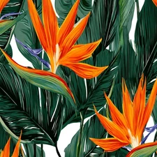Peel and Stick Wallpaper 17.3x118in Tropical flowers palm Vinyl Wallpapers