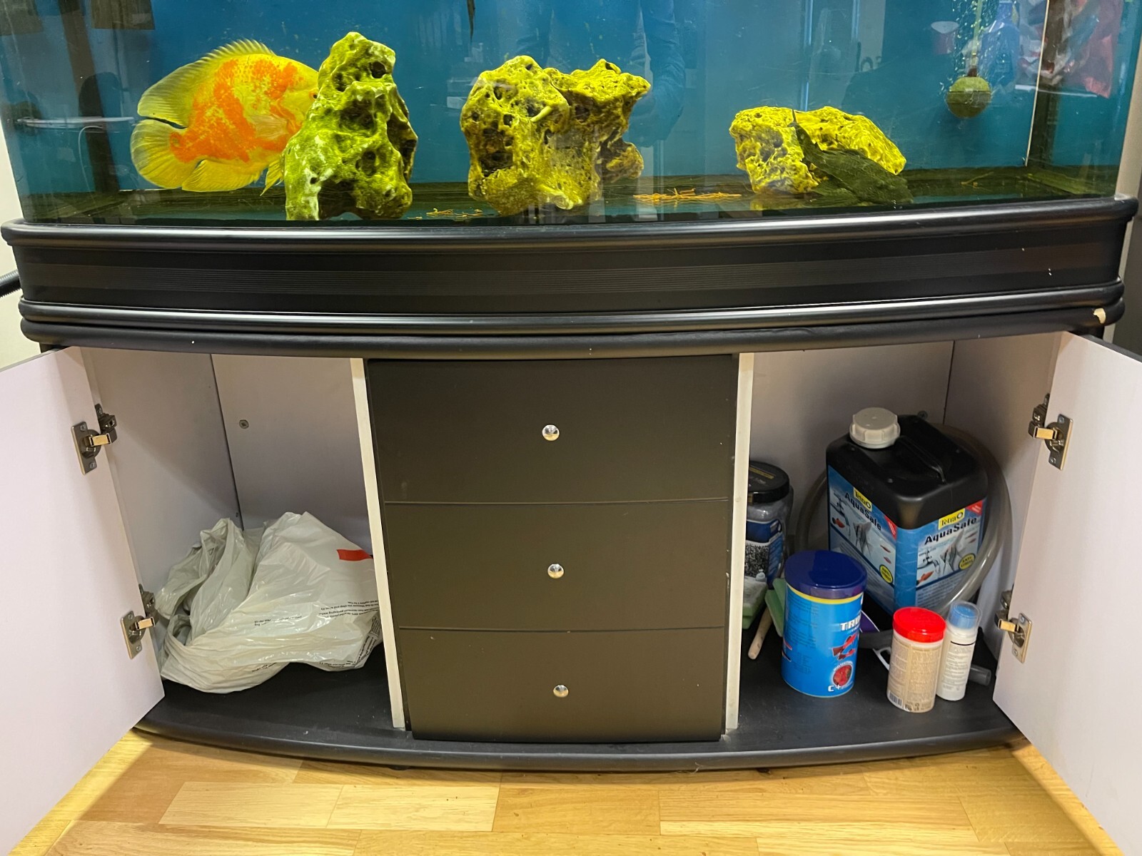 5ft Cleair Aquarium Full Setup! eBay