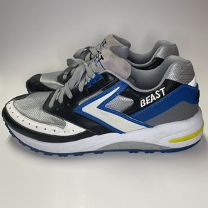 brooks beast size 10.5
