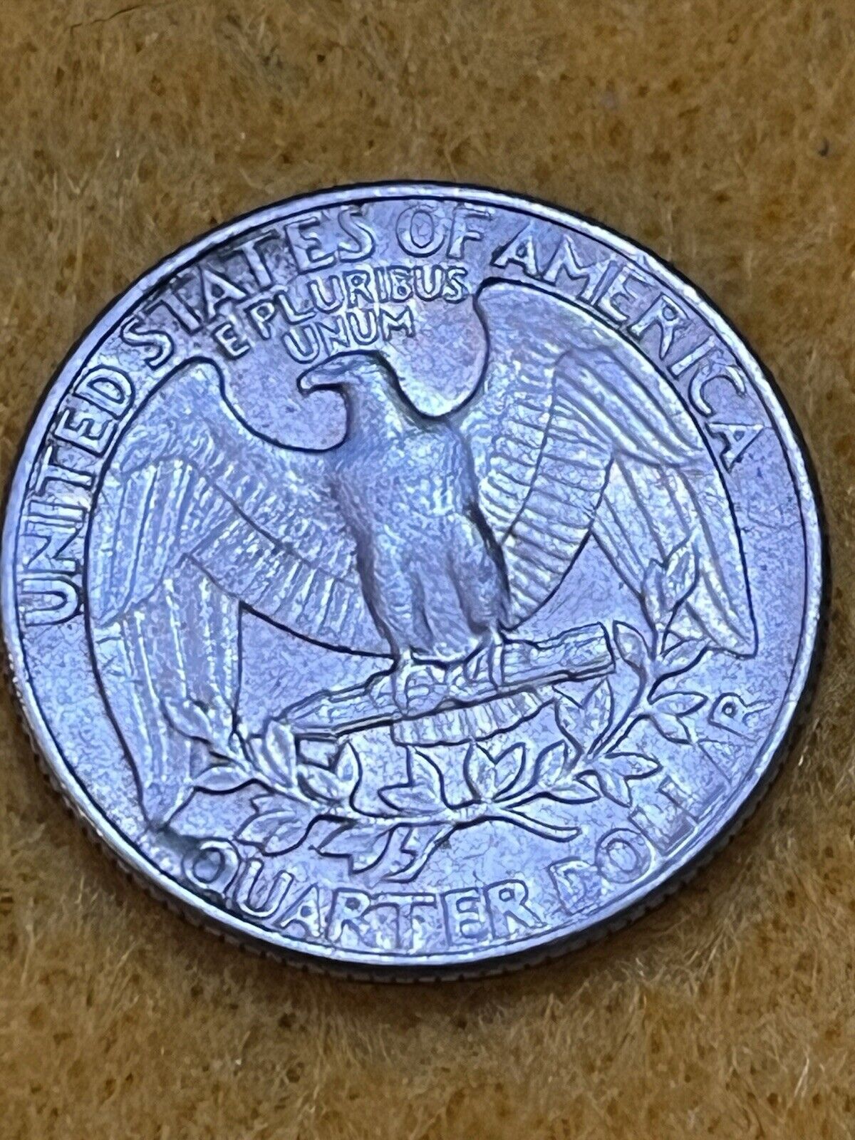 Picture 7 of 18