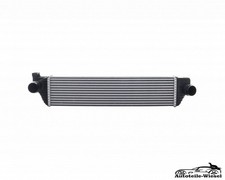 Einspritzpumpe RENAULT MASTER III Bus (JV) 2.3 dCi 125 FWD (JV0C, JV0D, JV0H)