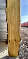 Bois D'Arc Osage Orange Live Edge Slab Dried Gorgeous Color One Of A Kind