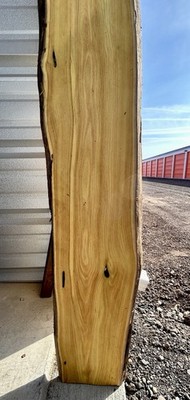 Osage Orange Bois D Arc Live Edge Slab Raw Wood Dried Gorgeous Color FREE SHIP