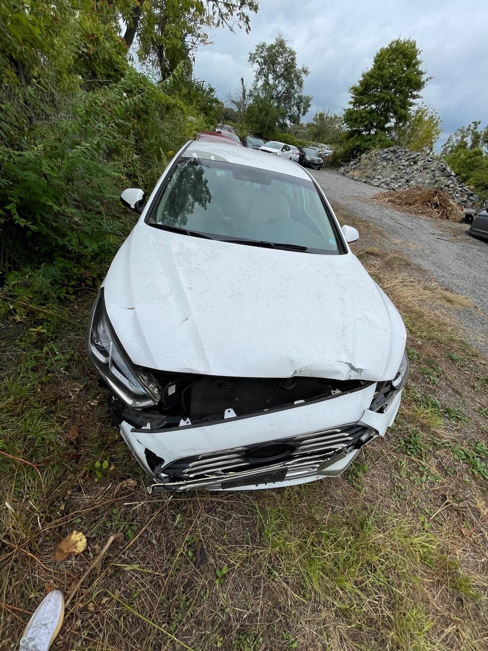 Hyundai Sonata 2018 2019 Front Grille Replacement