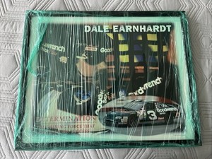 Dale Earnhardt Framed Picture 21x17