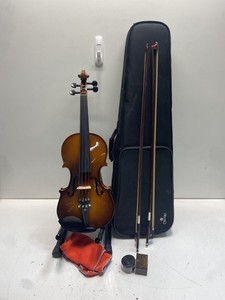 Cecilio Violin Cvn 300 | eBay