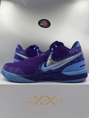 Nike Zoom LeBron NXXT Gen AMPD Summit Lake Hornets FJ1566-500 Size