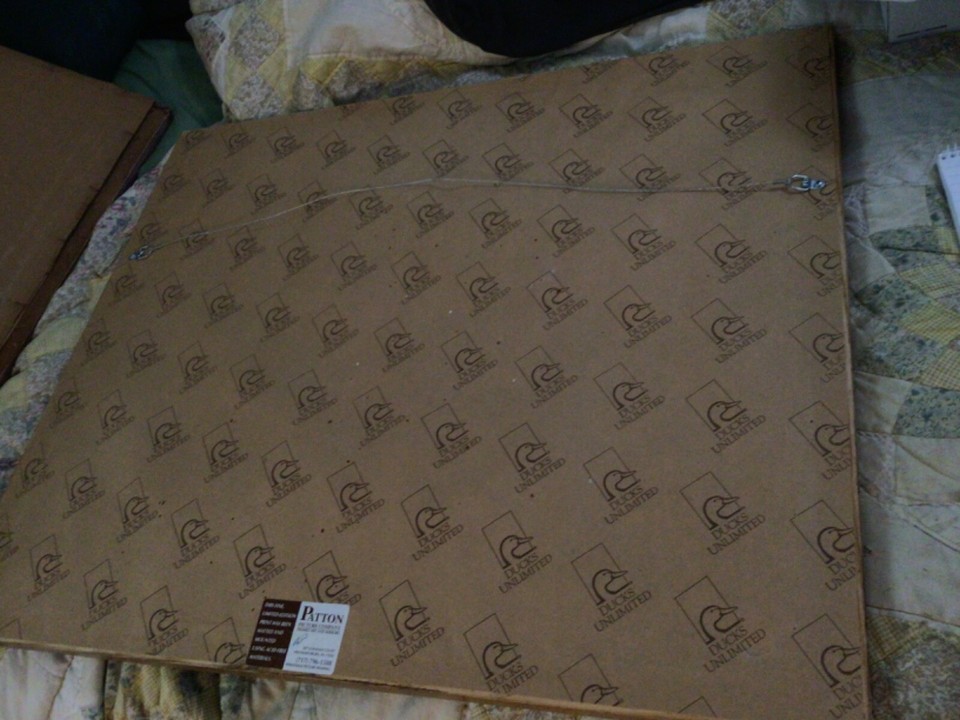 Limited Edition Ducks Unlimited Print Teal Surprise, aFramed, Matted