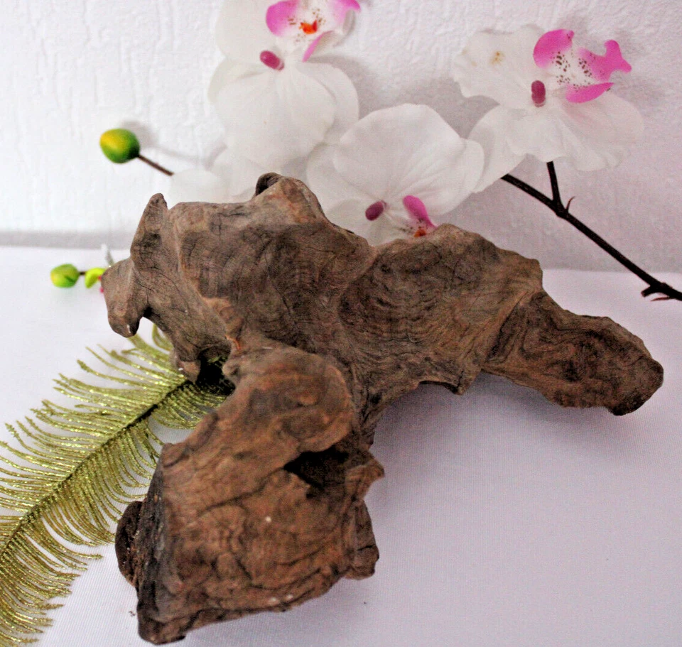 Aquarium Deko Treibholz Baumstumpf Wurzel Hardscape Holz Sehr Schön - Bild 3 von 4