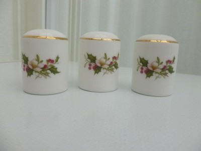 Royal Albert 3er Set Salzstreuer Weihnachten Blumen Stechpalme und Beeren Neu unbenutzt
