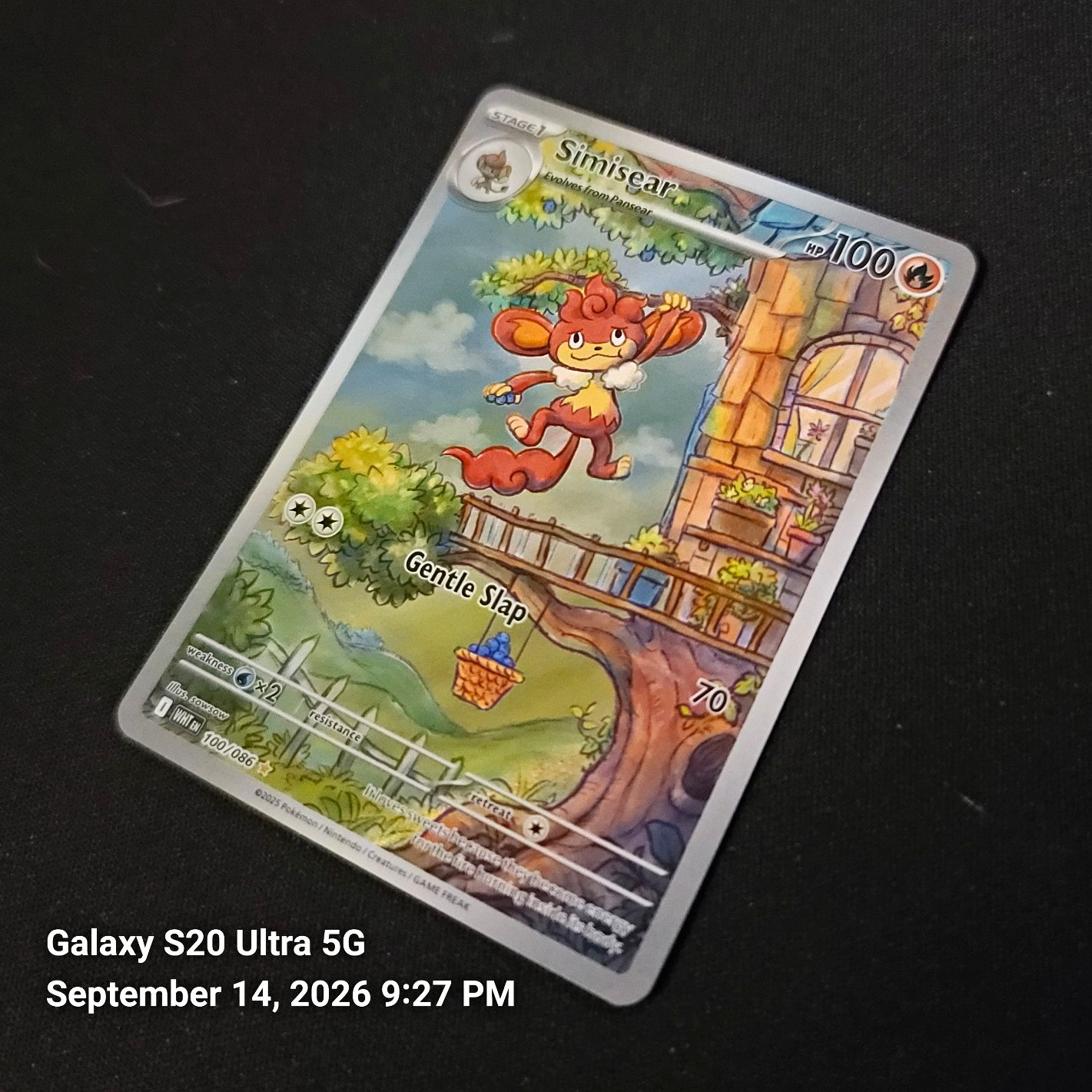 Pokemon TCG Simisear 100/086 SV: White Flare Illustration Rare Holo English