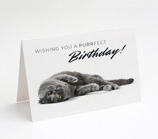 Birthday Cards with Envelope, Made in USA, 5X7 Inches (Purrfect Birthday)