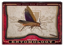 2022 Upper Deck Goodwin Champions Purple Hopper Entomology Relics #ENT-14