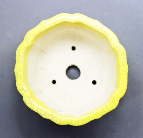 Tokoname Flower-shape Bonsai Pot by Shibakatsu, #D-38YK : 140*135*H91mm - Picture 5 of 7