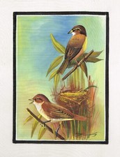 Bellissima Uccelli Art Pittura Fatto a Mano Etnico Natura Seta Panno 17.8x22.9cm