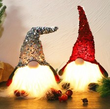 Lighted Christmas Gnomes Set of 2 