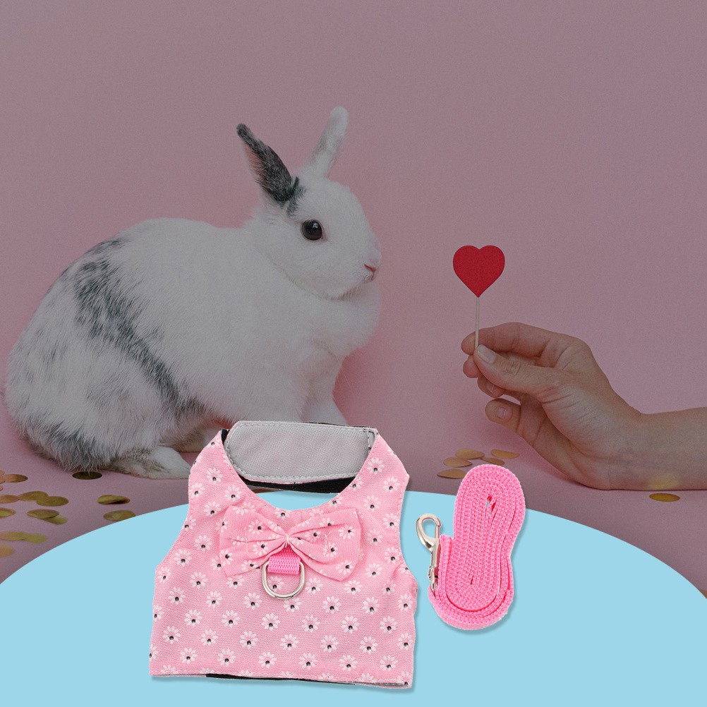 Accessori Coniglio Piccolo Imbracatura Degli Animali Guinzaglio Per