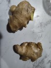 Fresh Organic Ginger Roots, Two Pieces, Free Shipping!