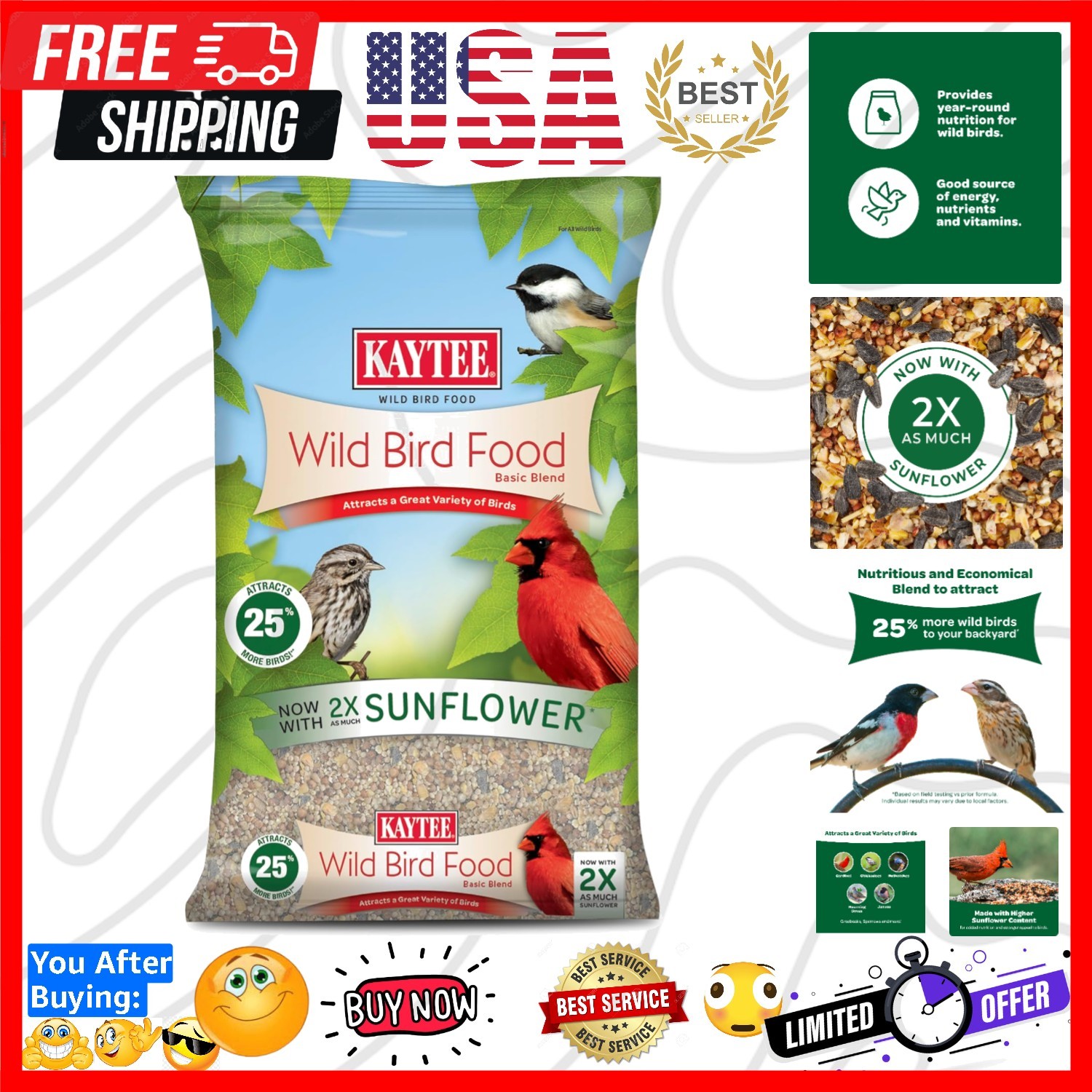 Wild Bird Basic Seed, 10 lb