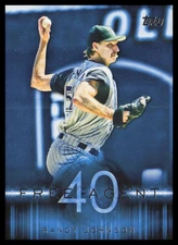 2015 Topps #F40-10 Randy Johnson Arizona Diamondbacks Free Agent 40 Baseball