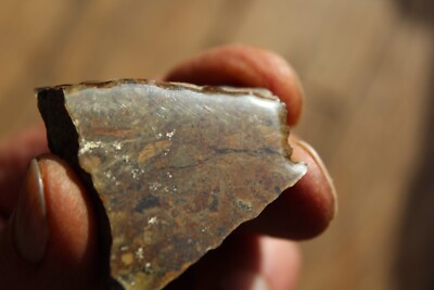 MINERAL   NATIVE SILVER Very Rare Locality New Mexico 27 gram Specimen  #10