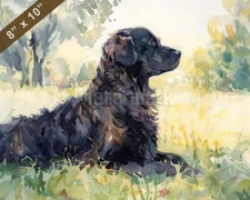 FlatCoated Retriever watercolor painting in a sunny par 8x10 Print 