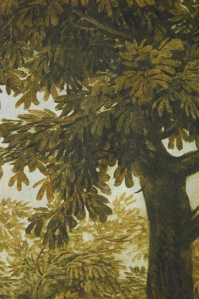 Papel pintado Anthropologie Mind the Gap Branchy árbol de otoño Foto 3 de 3