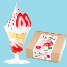   Strawberry Parfait  food sample replica DIY kit  Samplen   - From Japan