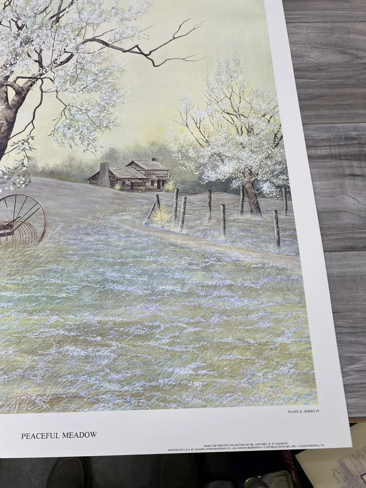 RARO Larry Dodson-1979 "PRADO PACÍFICO" PRUEBA DE ARTISTA # 2 de 10, impresión 21x25 Foto 4 de 4