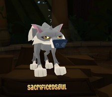 selling this animal jam account with this user description dont buy listing