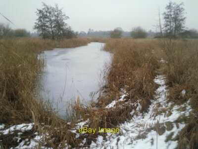 Foto 6x4 Schilfbeete im London Wetland Centre Barnes drei Tage vor Chr c2010