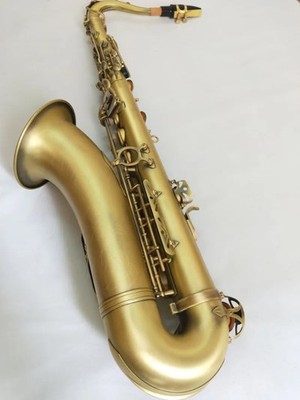 Tenor Saxophone STS-R54 Musical Instrument Brass Performance Sax