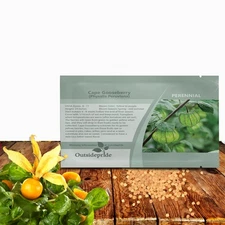 2000 Seeds Cape Gooseberry  Seeds - Physalis Peruviana Seed