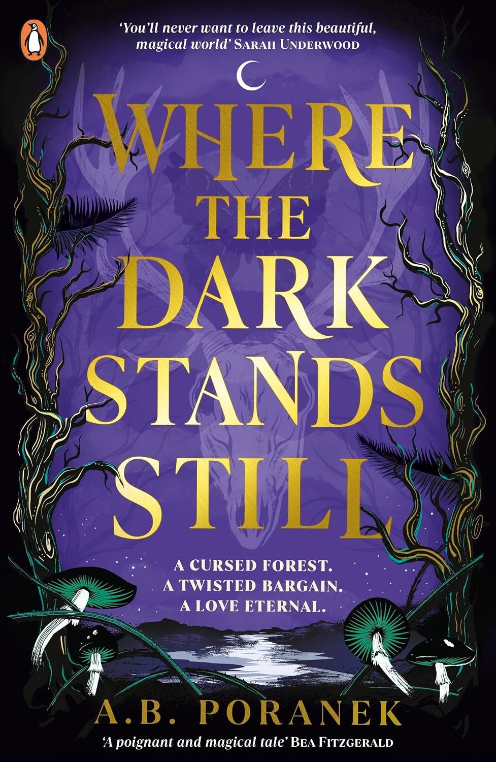 Where the Dark Stands Still: A sweeping gothic YA by A.B. Poranek (PB 2025) - Image 6