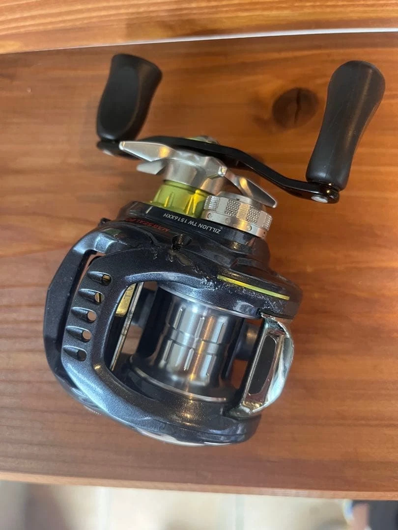 Daiwa Zillion Baitcasting Fishing Reels for sale - eBay