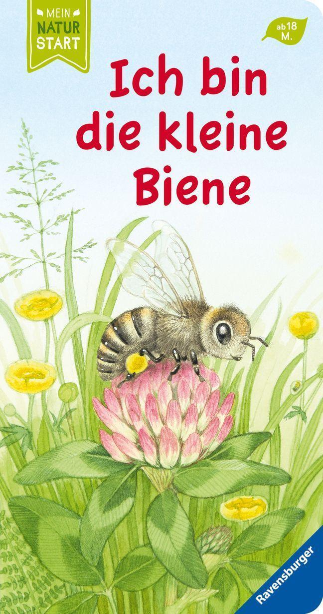 Thumbnail - Ich Die Kleine Biene | Buch | 9783473439805