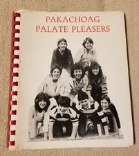 Auburn Minnesota Pakachoag Church Cookbook Palate Pleasers Recipe Book 1987