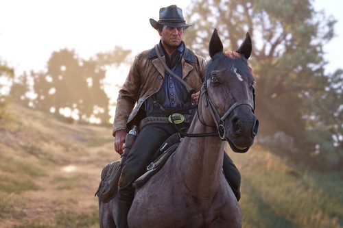 Red Dead Redemption 2 ULTIMATE EDITION PC Rockstar Key GLOBAL FAST DELIVERY! RPG - Picture 7 of 14