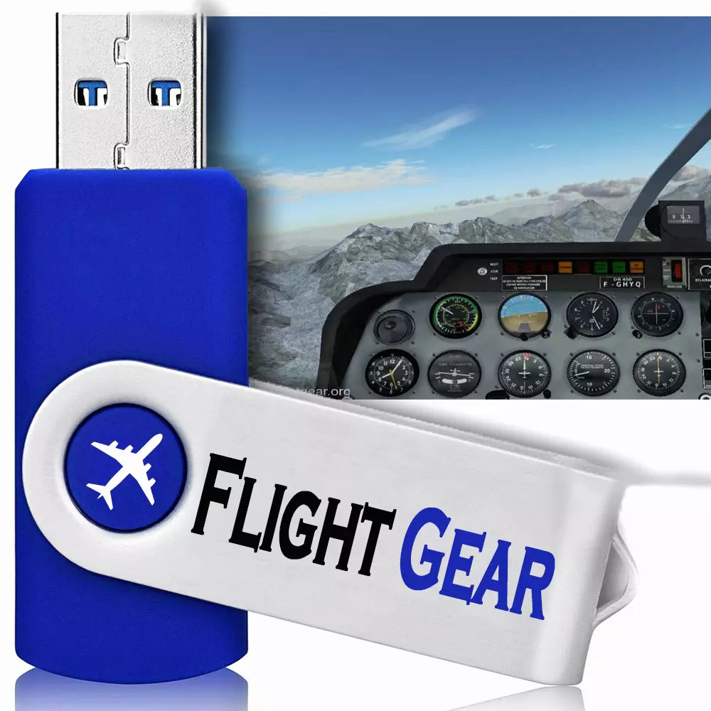 Marine mistet hjerte Violin Flight Gear | Professional Flight Simulator For Pc | USB Installer | eBay